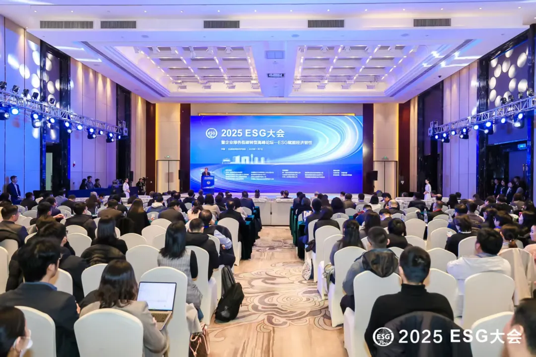 1763085838496068ukhu.png d14bd678-8056-4e0e-8127-bc4c1dc53d49.png